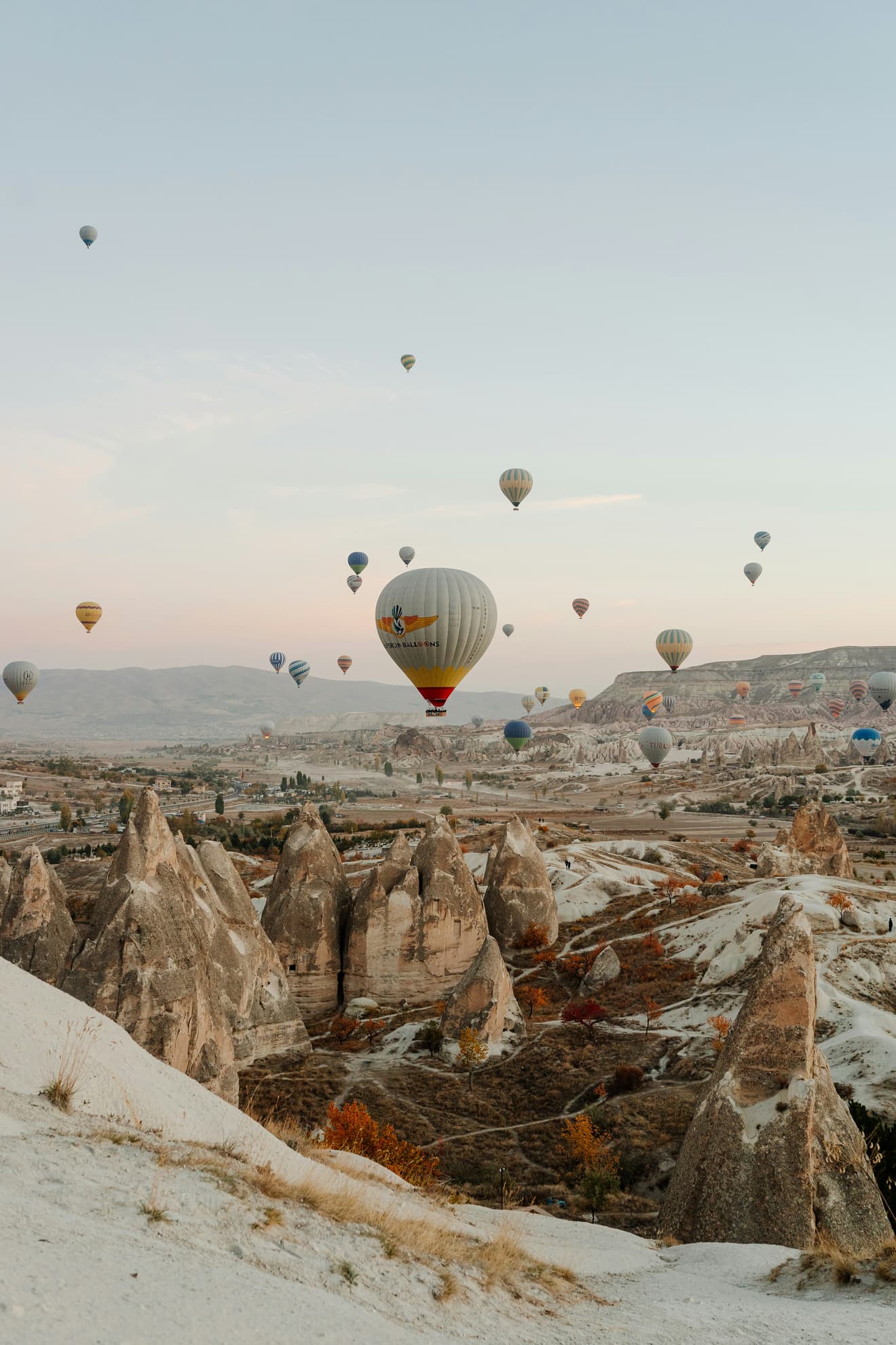 Business and investment in Türkiye visual 2